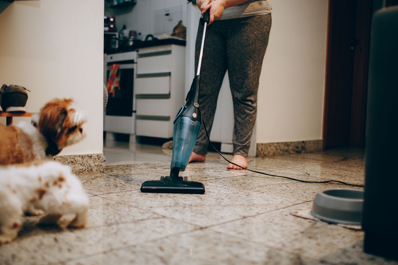 Une femme nettoie le sol avec un aspirateur pendant qu’un chien observe avec attention. Environnement intérieur domestique.